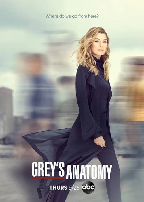 Анатомия страсти 17 сезон